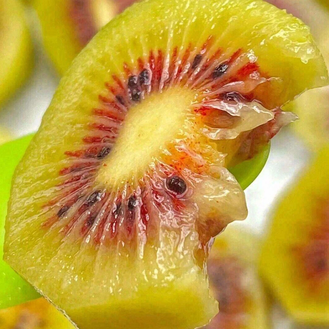 【红心猕猴桃】四川蒲江红心猕猴桃18枚单果70-90g催熟后食用