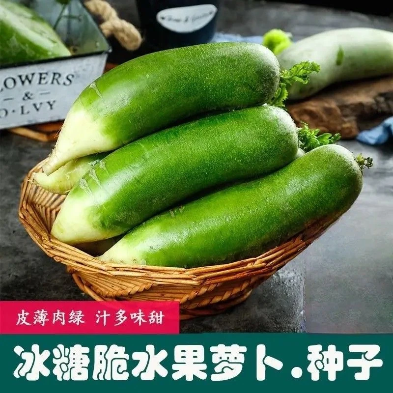 【满5包包邮】冰糖脆水果萝卜种子家庭阳台小院盆栽地栽四季种植