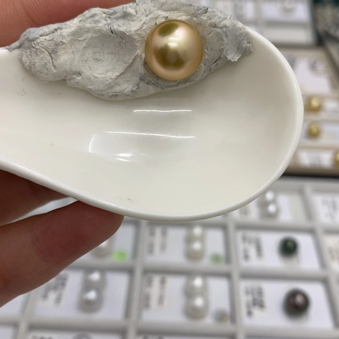 海水珍珠耳饰银S925镶嵌浓茶金11-12