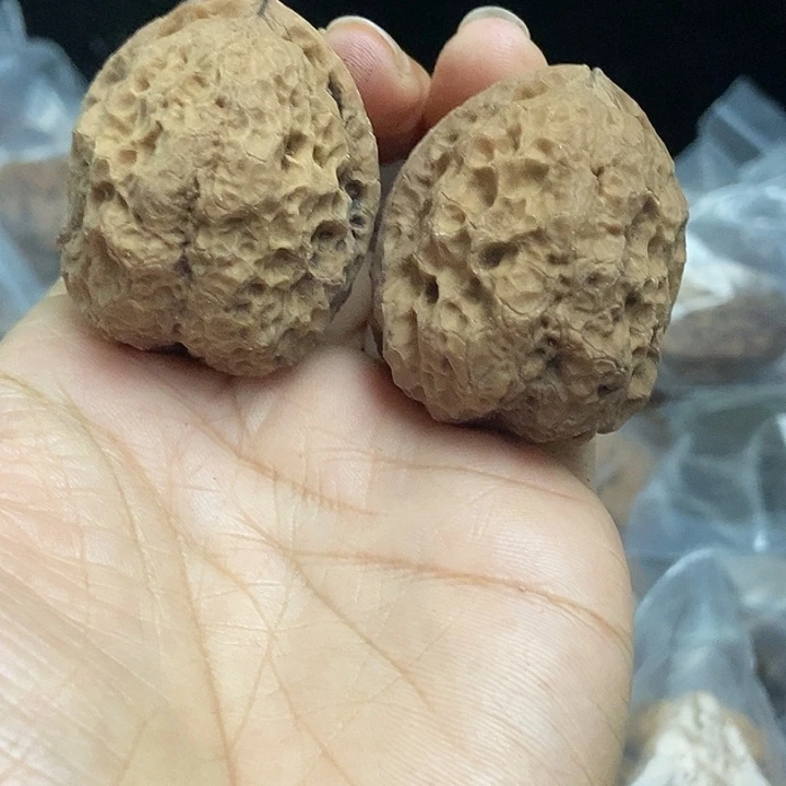 木质类云南铁核桃基地75