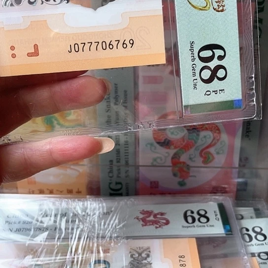 塑料龙钞077706769 p68金钩王
