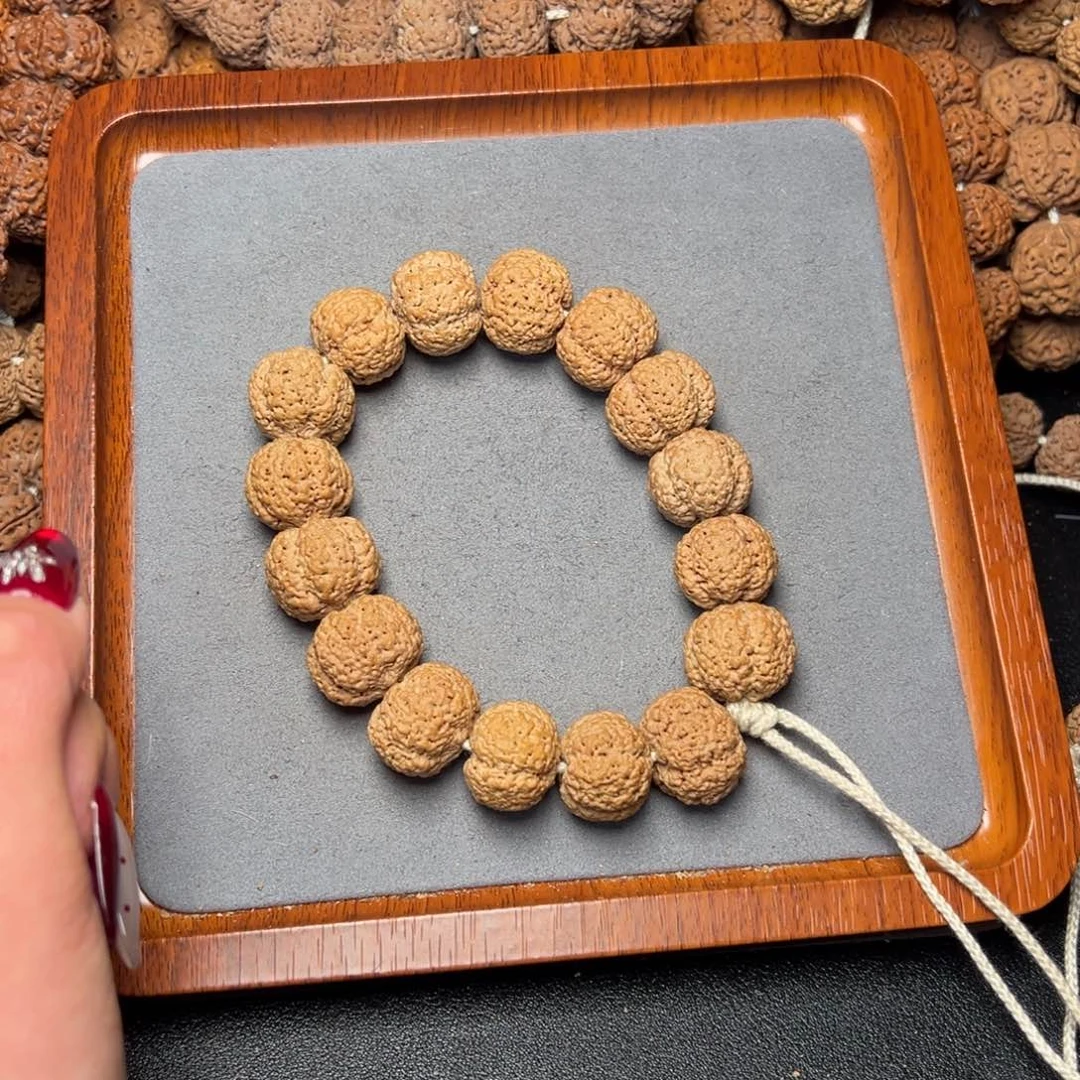 1号尼泊尔大金刚21五星熊猫菠萝蜜