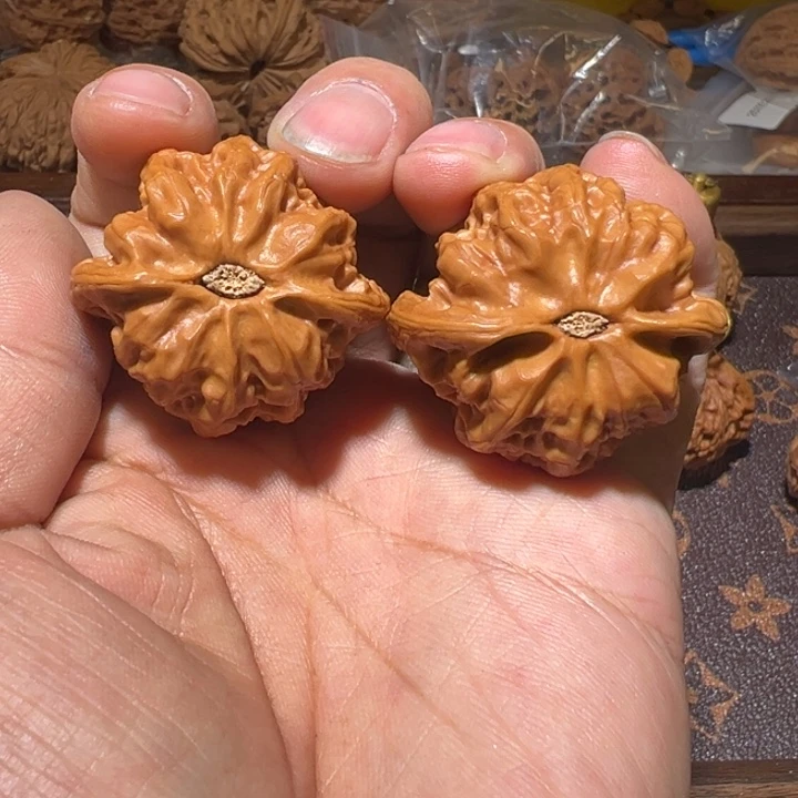 天***涵核桃全品无修佛肚