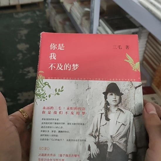 你是我不及的梦闪购8