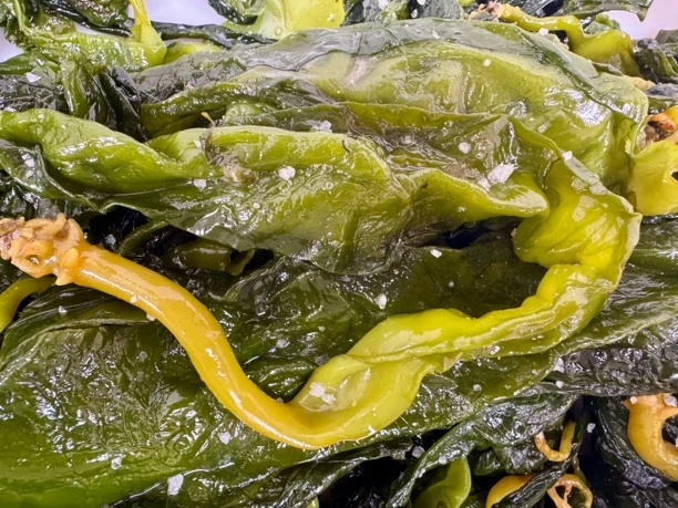 盐渍海带苗叶火锅配菜净重5斤