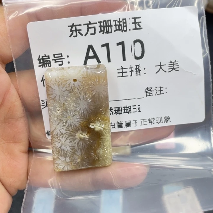 本***晶硅化珊瑚（珊瑚玉）合金颈饰