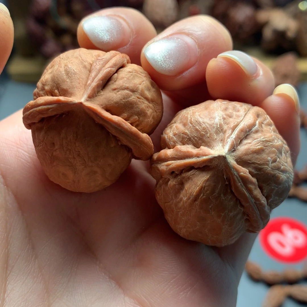 核桃11三棱异型核桃