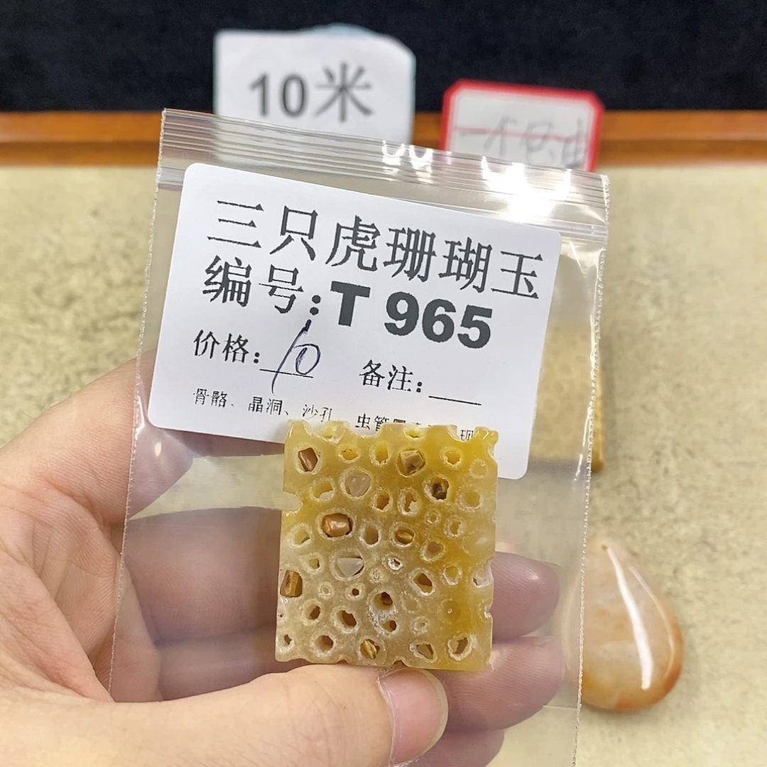 硅化珊瑚（珊瑚玉）1未镶嵌家****！