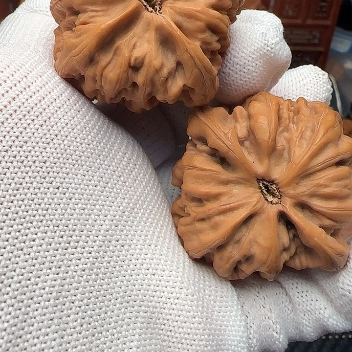 吊坠文玩核桃全品货头平谷九龙46货头王中王