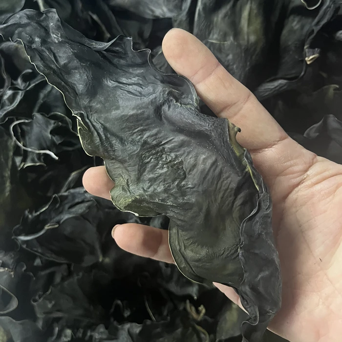 【珠海升仔】 海带头 海产干货炒菜凉拌肉厚 150克/250克/500克