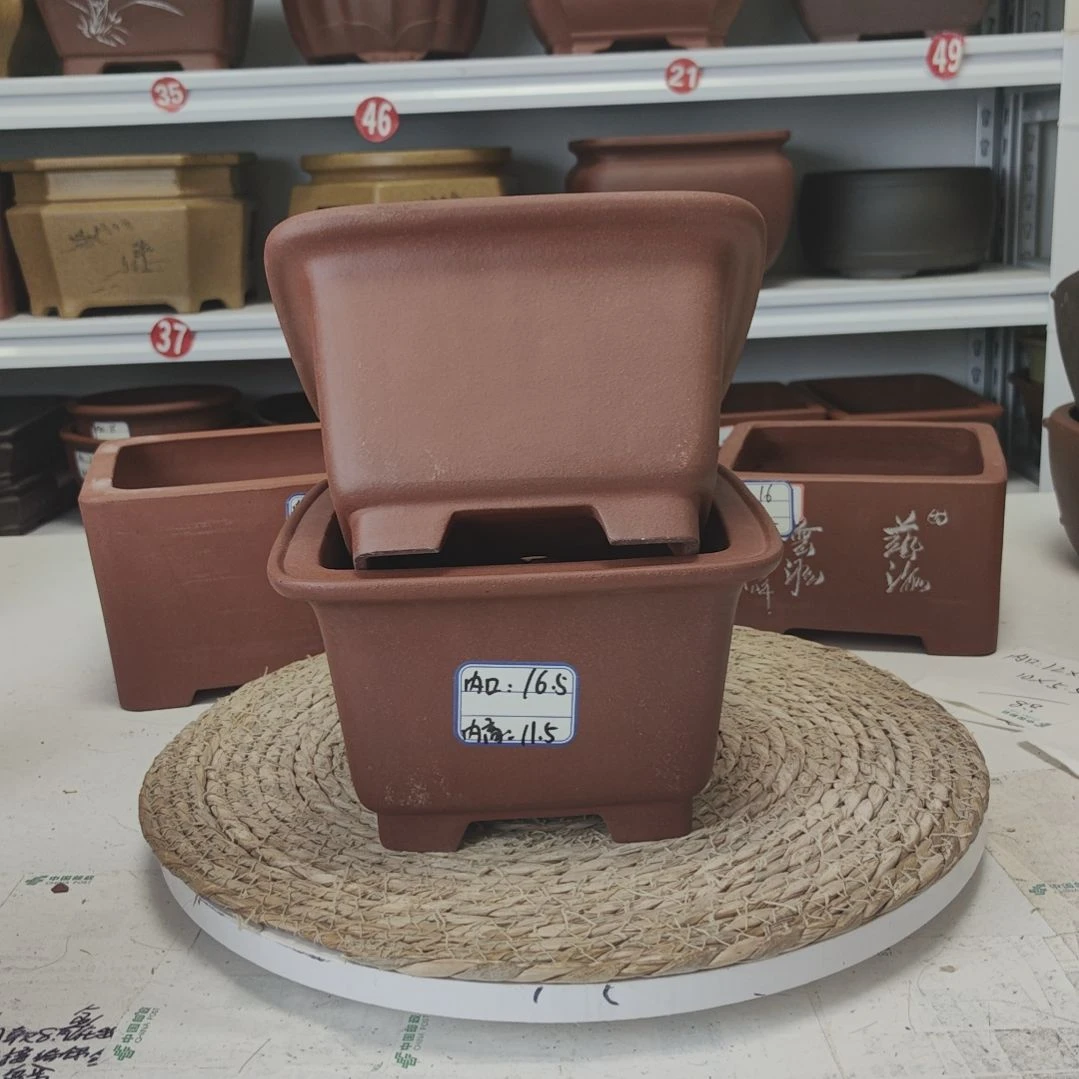 紫砂花盆今天下午