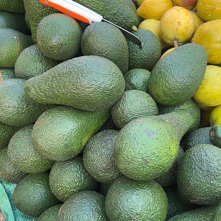 中国大陆巨无霸牛油果3斤