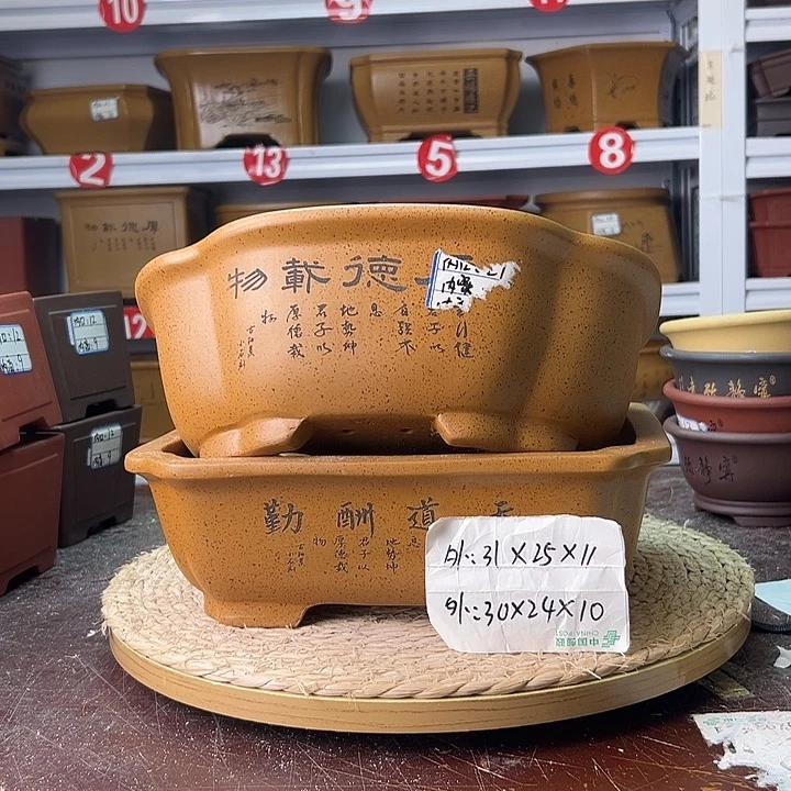 紫砂花盆蛇年大吉