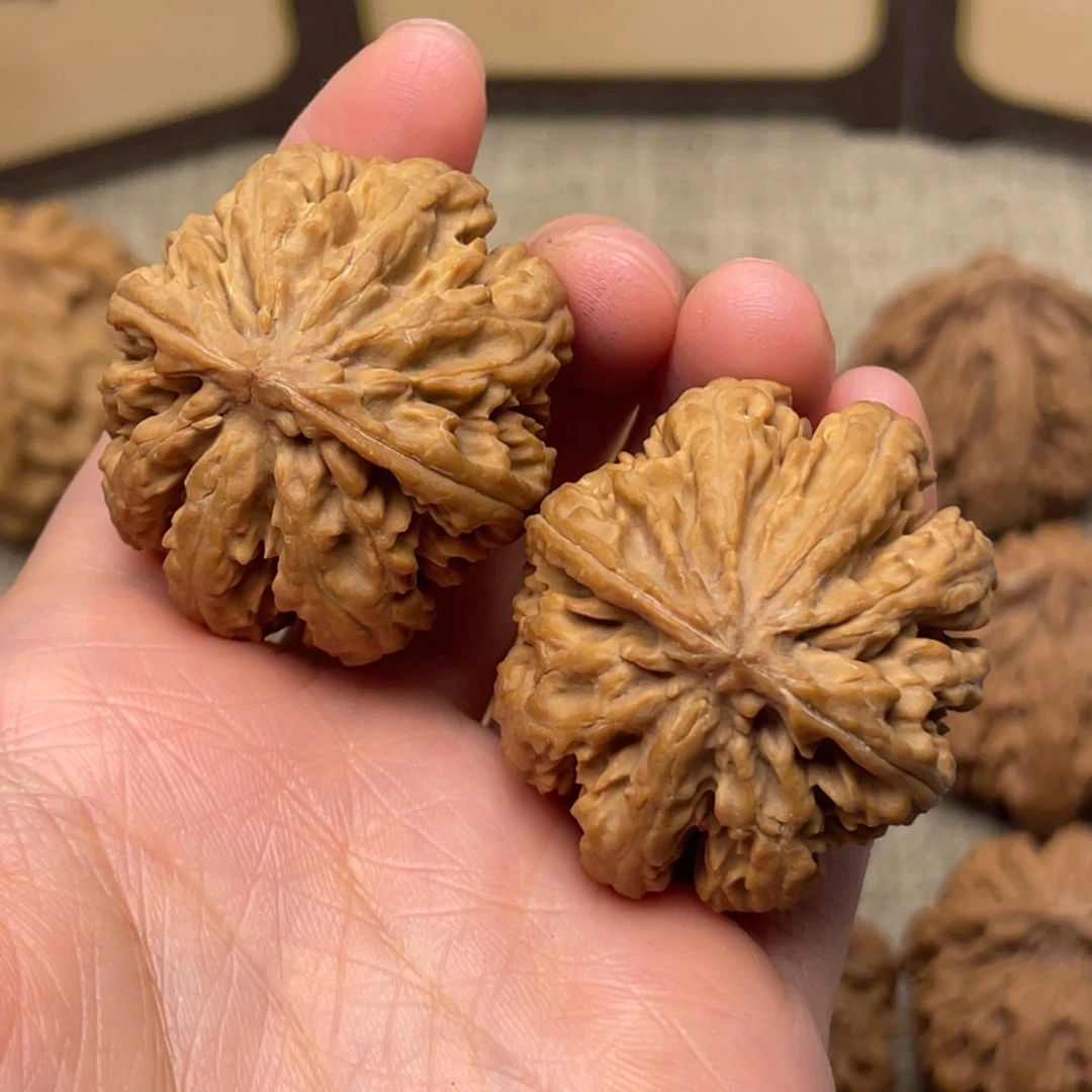 初***八文玩核桃把件秦岭核桃23号