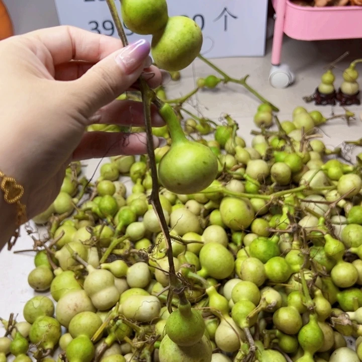 葫芦中国大陆G*0
