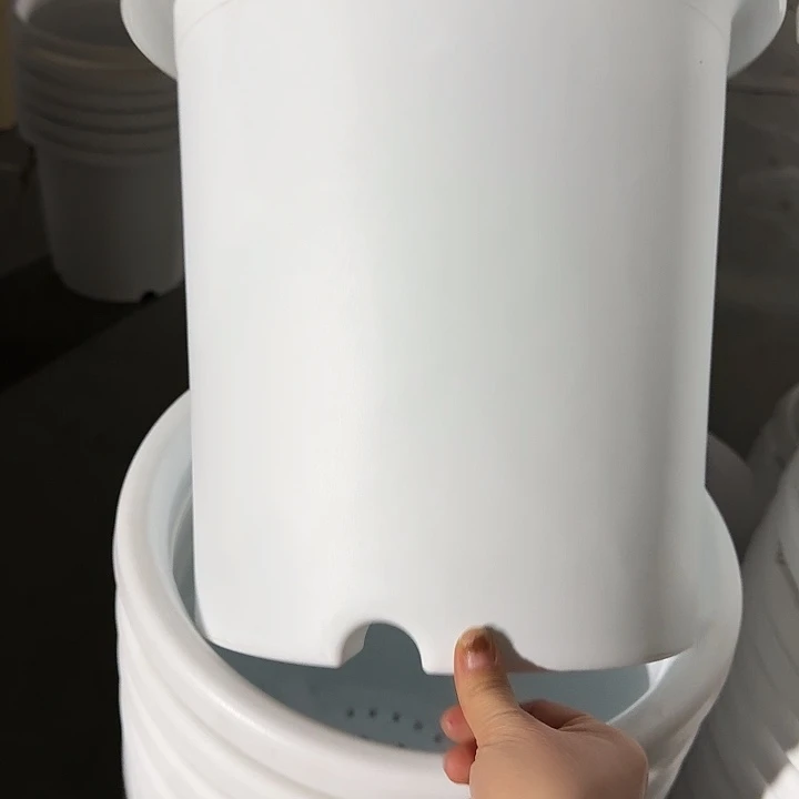 四季7号纯白无托6个磨损