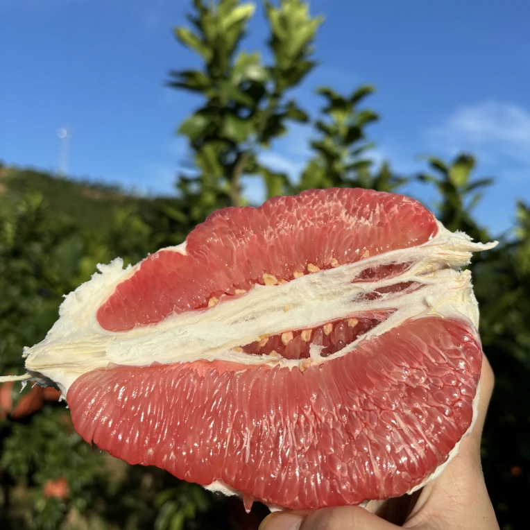 平和琯溪蜜柚原产地直发偏远地区