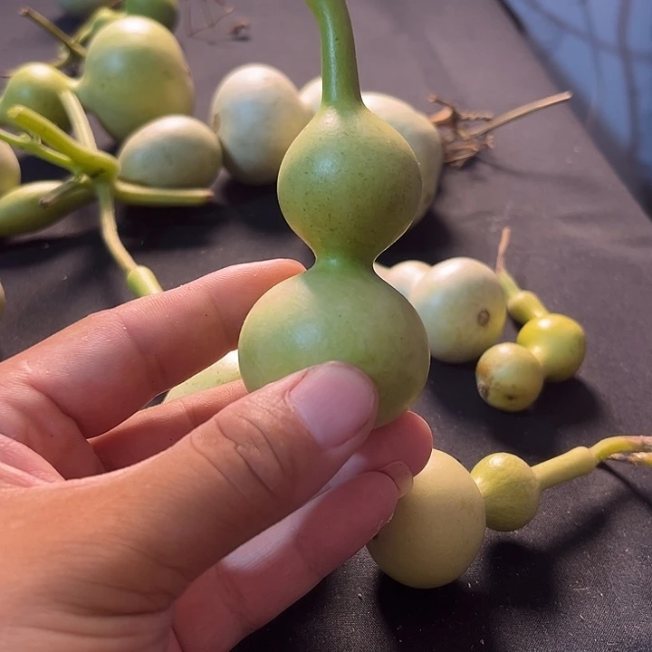 坚***持文玩葫芦八宝葫芦