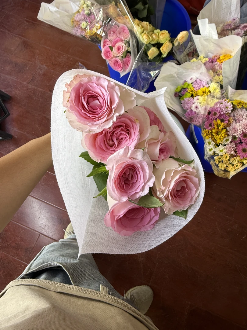 卓拉鲜花-洛神玫瑰