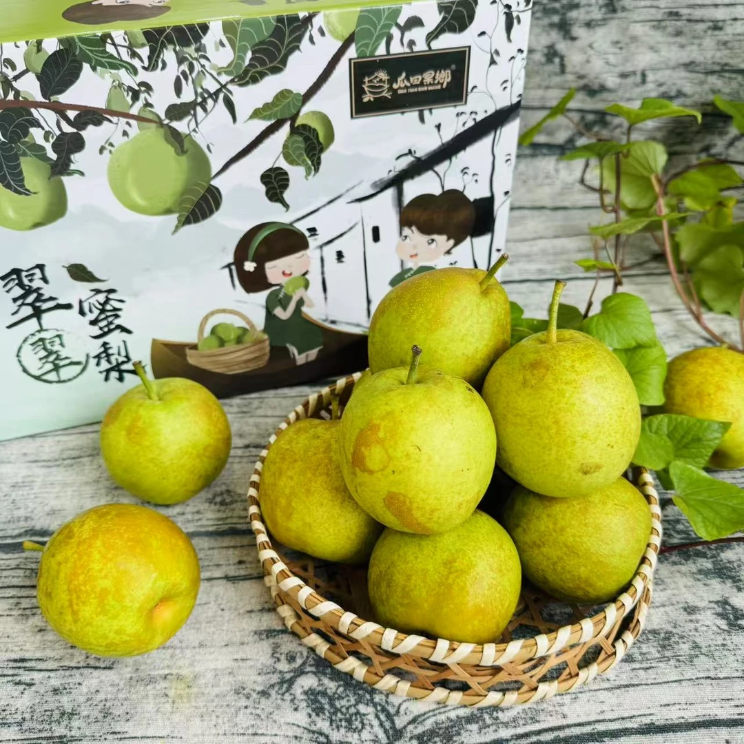【乐鲜果园】翠蜜梨脆甜多汁新鲜蜜梨3.4斤礼盒装
