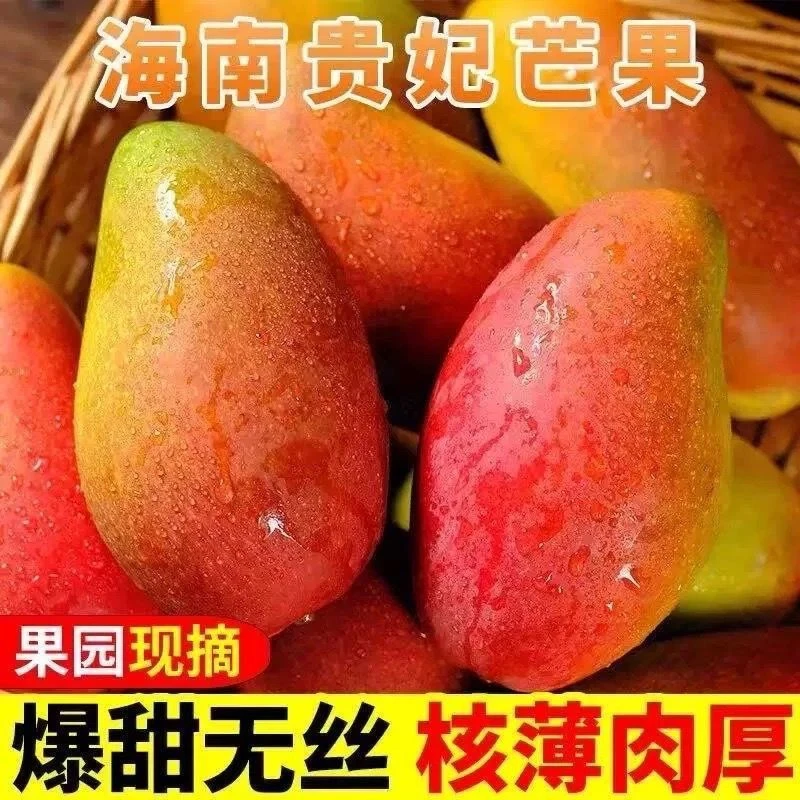【放软吃】新鲜现摘贵妃芒果 新鲜水果皮薄爆汁
