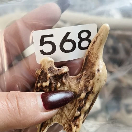 筒***子鹿角鹿角鹿角鹿角鹿角鹿角鹿角鹿角鹿角