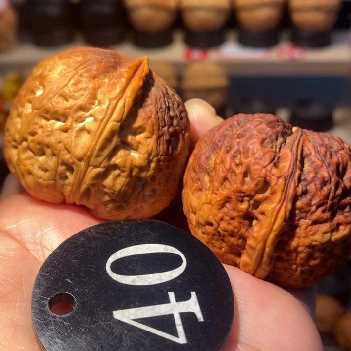 19号链接七彩豹子头40尺寸