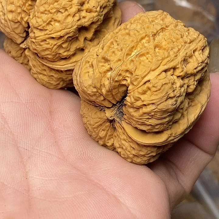 把件文玩核桃云南铁核桃100