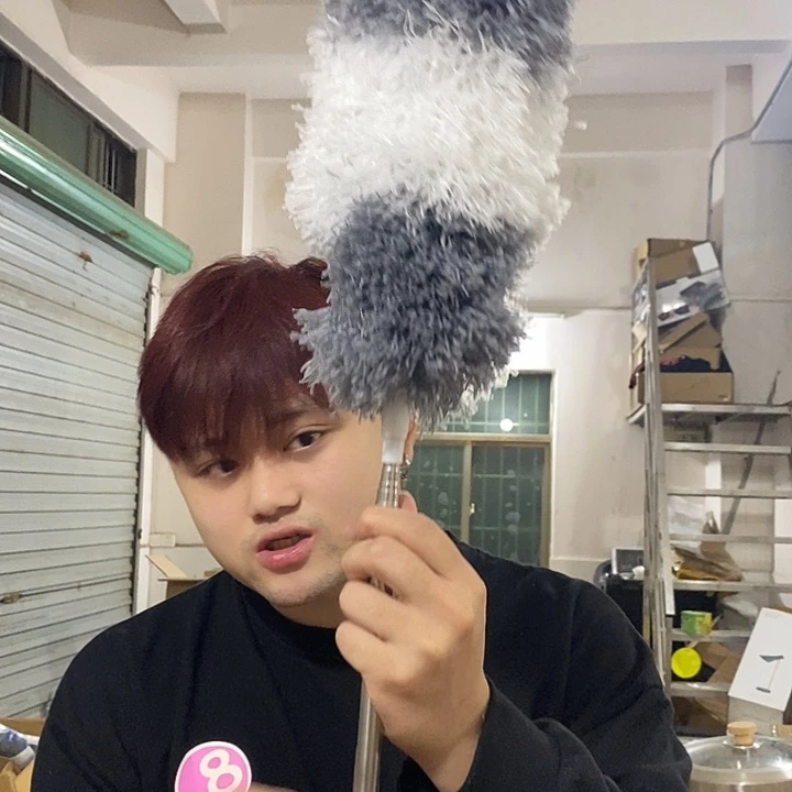 除尘掸可拆卸可伸缩