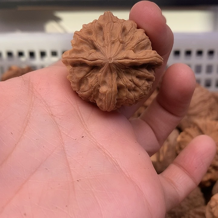 杨***六吊坠文玩核桃文玩核桃