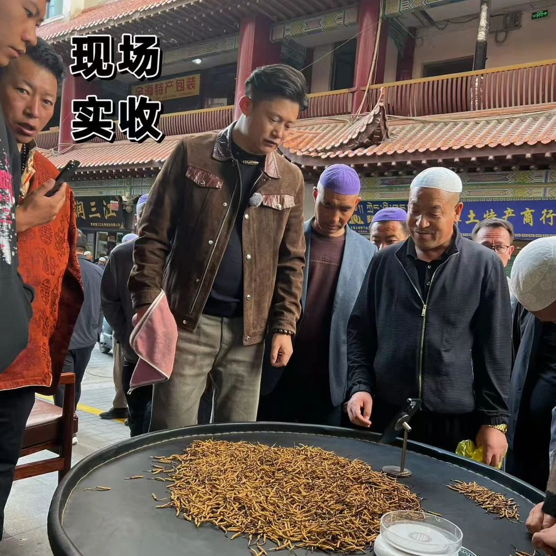 【冬虫夏草】30克 口粮草 现场实收 自然晒干 品质滋补实拍图