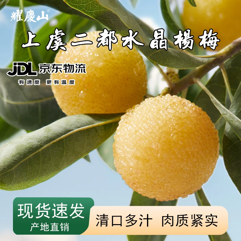 【稀有品】耀庆山正宗新鲜白杨梅二都水晶种孕妇应季水果现摘现发