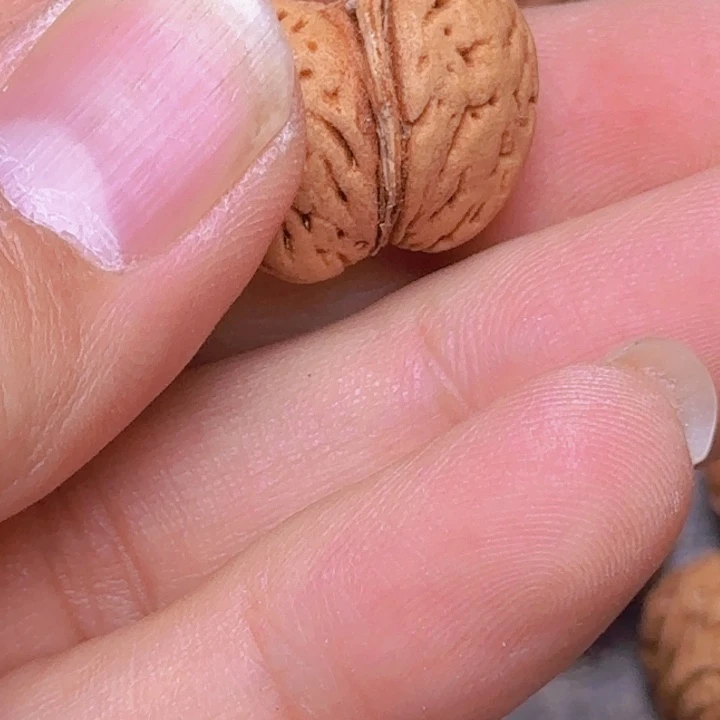 鲁****主2025412野生桃核连体一个