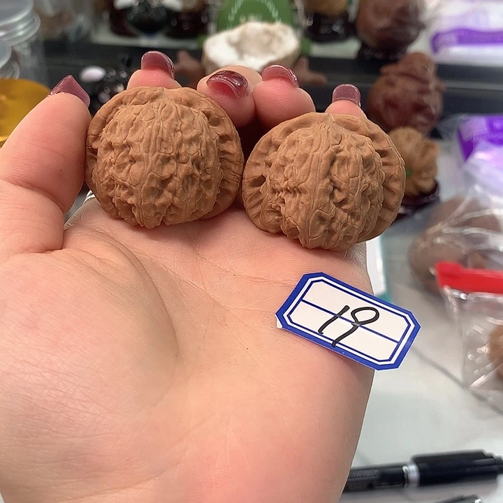 木质类白狮子球白40尺寸