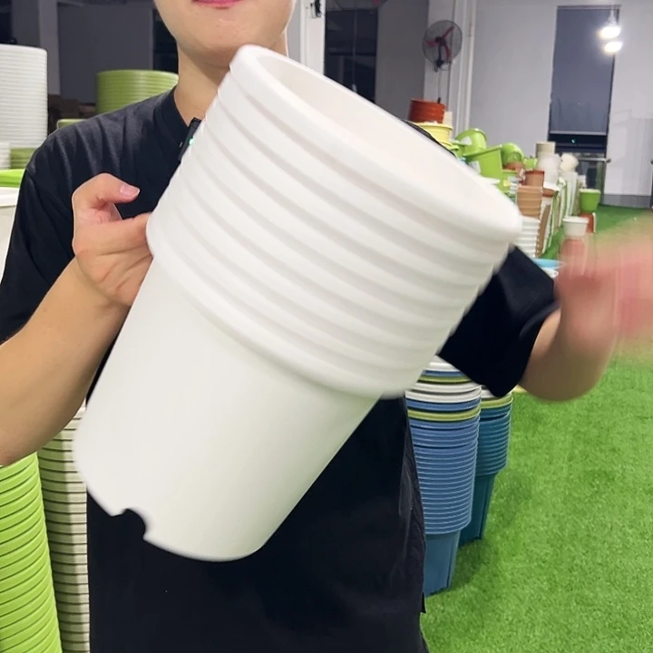 特价4号口25高21.5白色8只无托