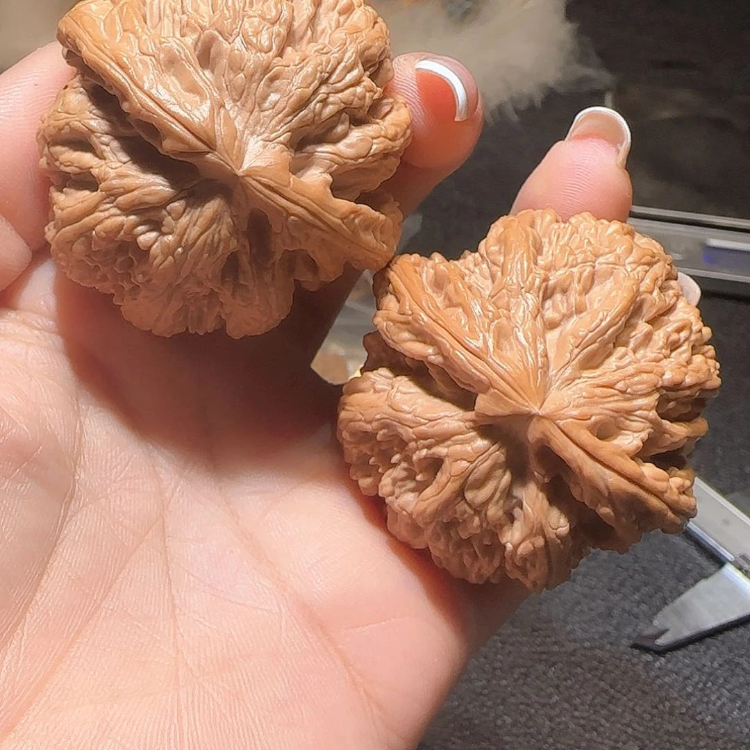 文玩核桃吊坠48粗筋