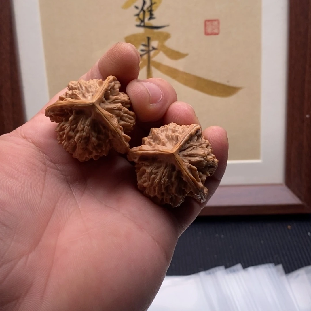 核桃哈哈哈哈哈哈哈哈哈哈哈