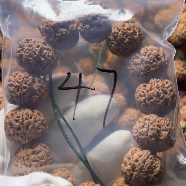 金刚菩提吊坠47号金刚