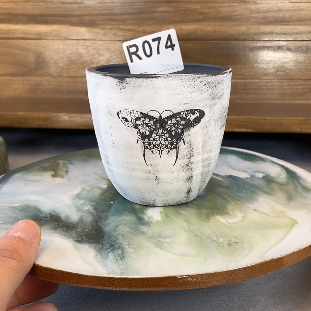 老杨实验品内口8哈哈