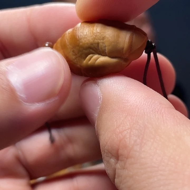 橄榄核吊坠橄榄核