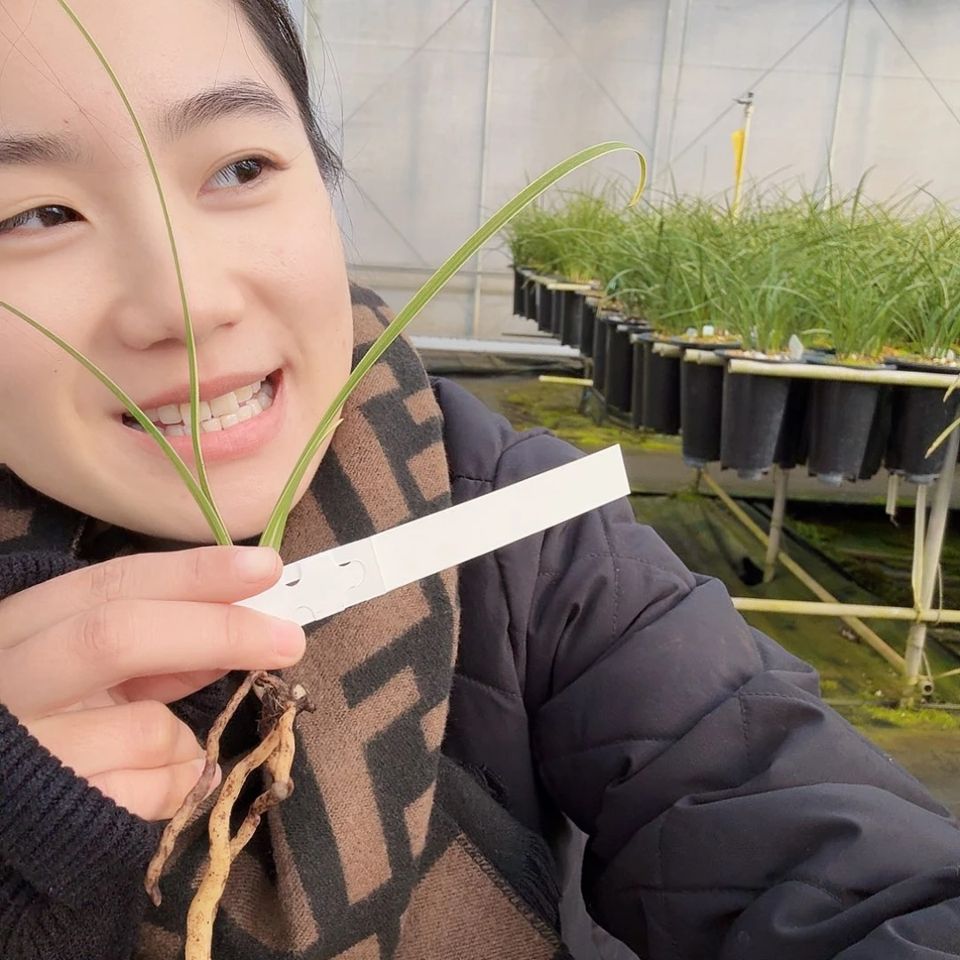 平***话完全开放1236580000