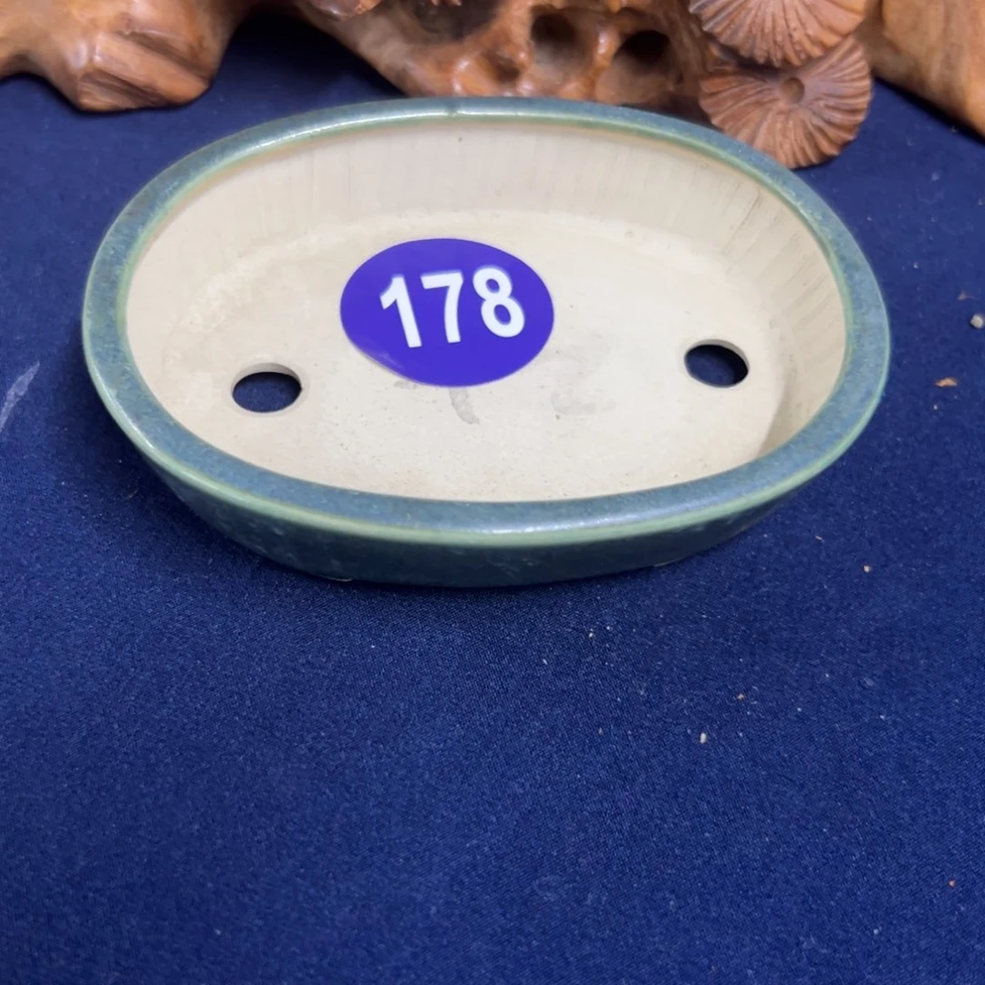 红陶晴**?红红火火过大年178