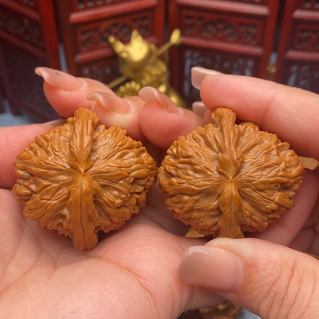 把件文玩核桃43.5精品毕业白狮子