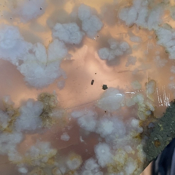 用***3定制玛瑙2镯4001365