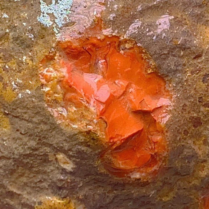 定制玛瑙福**泽定制牌子