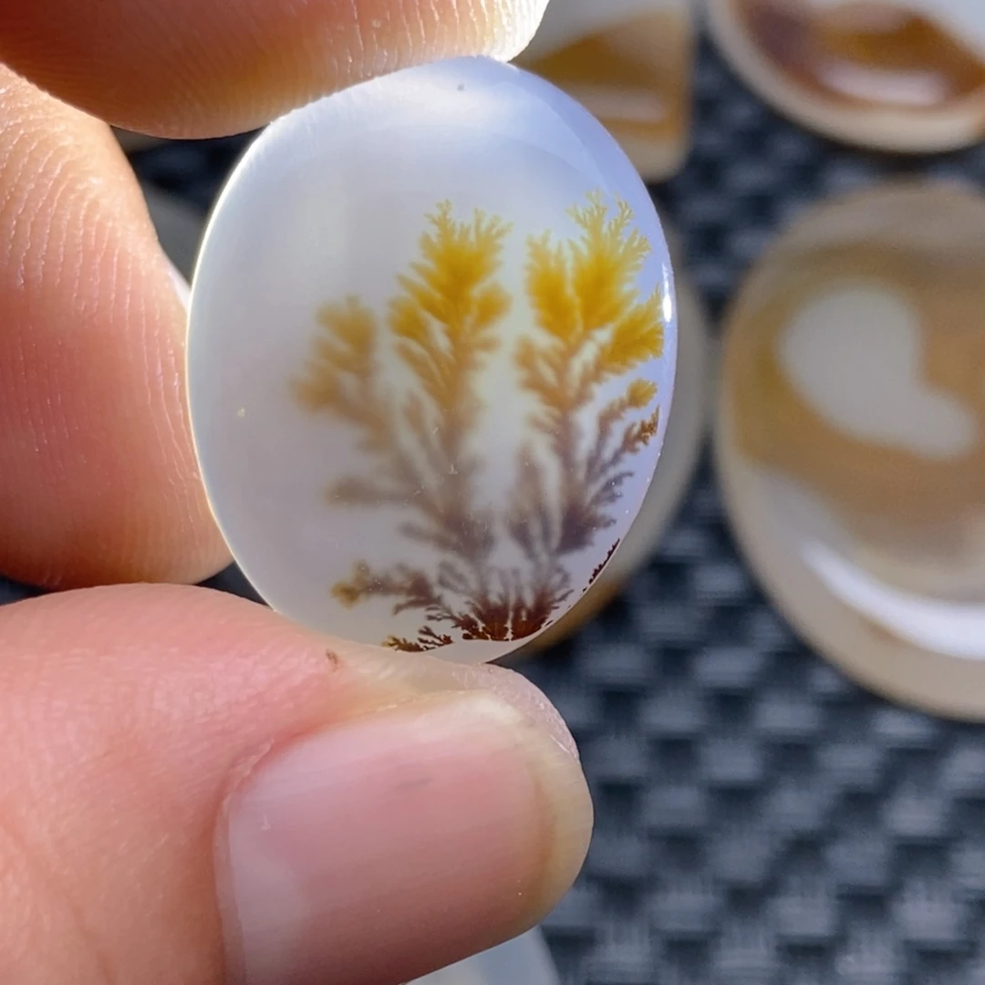 【闪购商品】未镶嵌颈饰玛瑙/玉髓珍****用