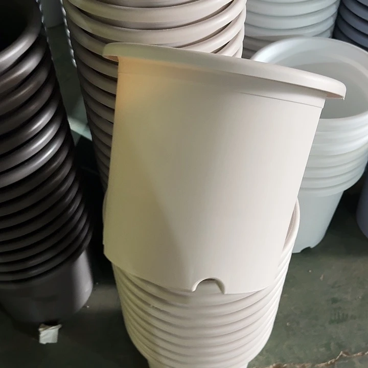 四季6号灰白无托3个