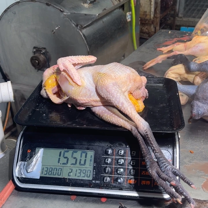 一号母鸡食用农产品中国大陆天*