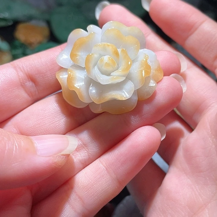 颈饰未镶嵌翡翠天