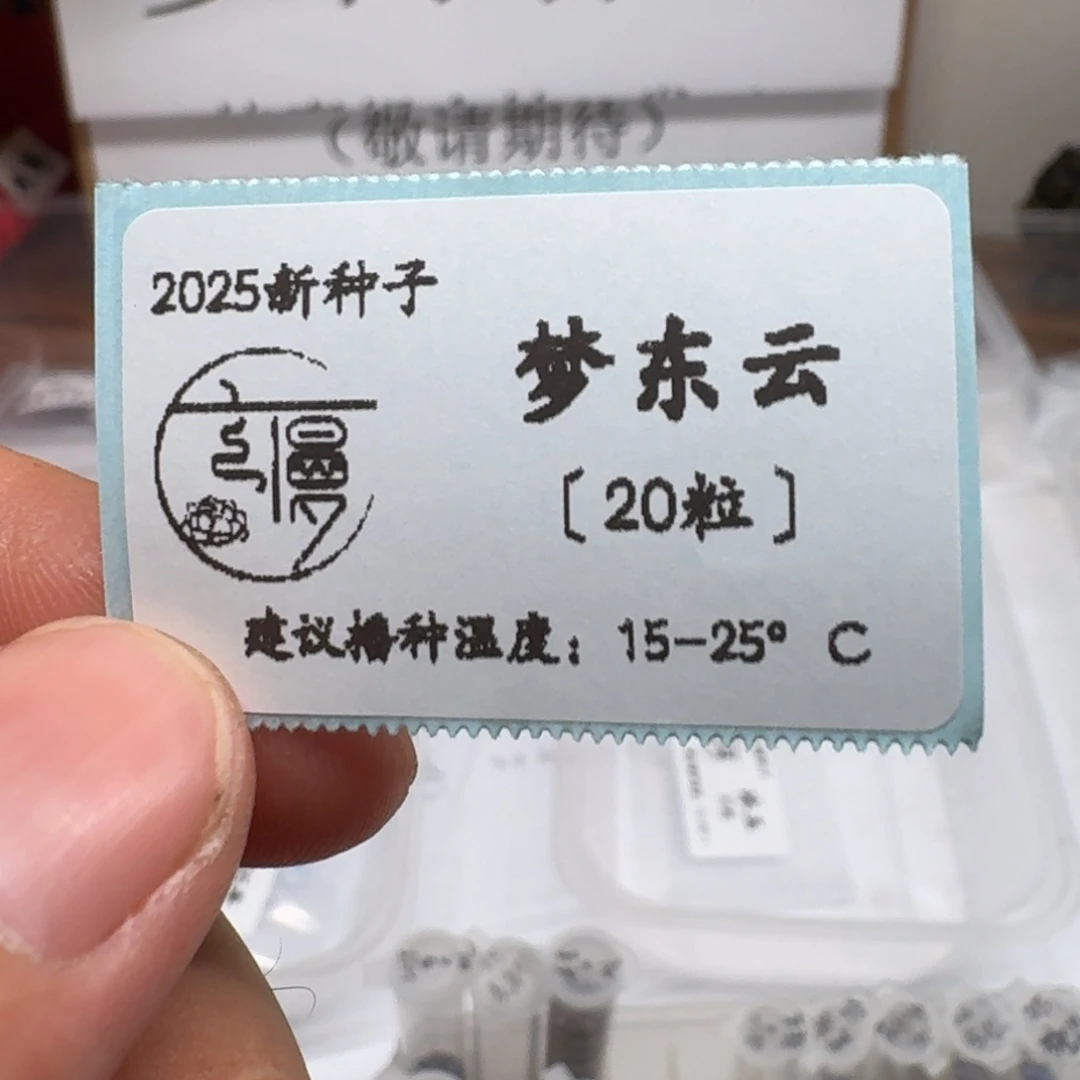 珍妮方向“梦东云”种子20粒不包出芽率